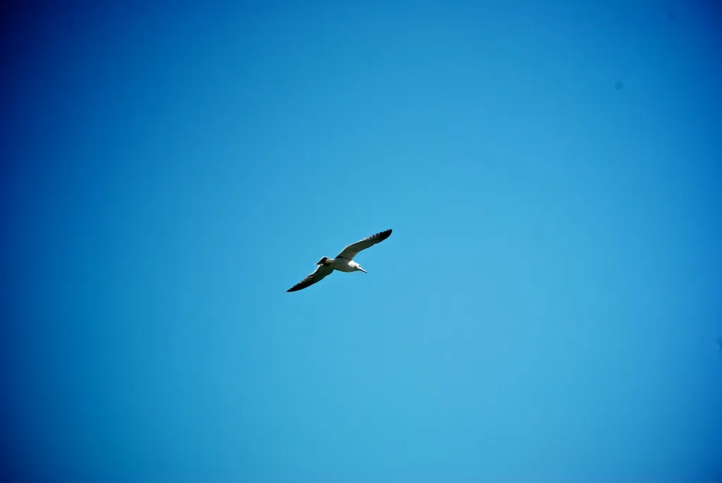 날꺼야
