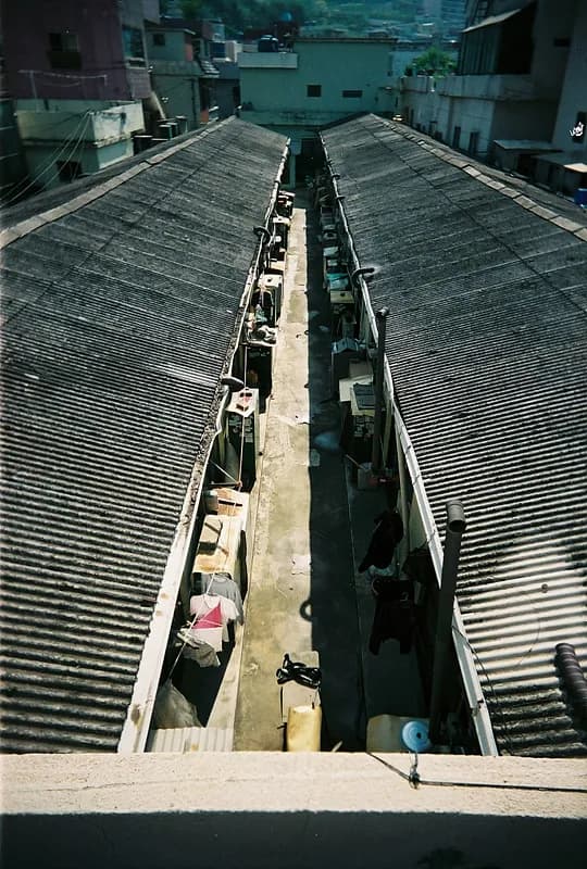 삶