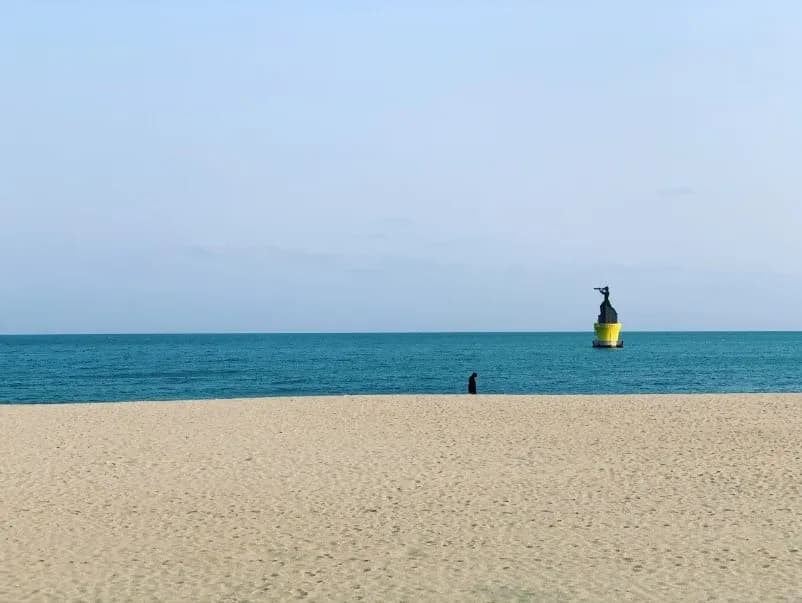 보고 싶어서