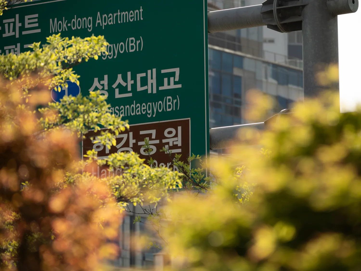 선유도의 빛