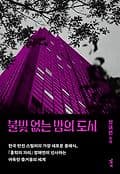 불빛 없는 밤의 도시 표지