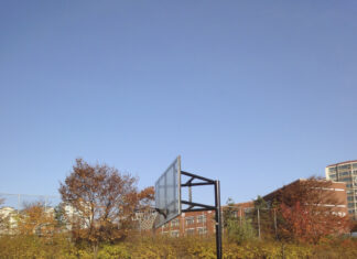 아침산책 – 탄천