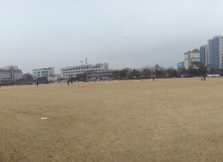 분당구청 앞 잔디밭, 파노라마 사진