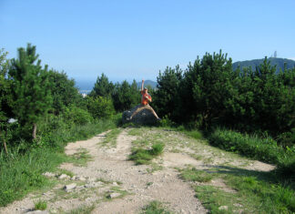 #06 – 배산, 밀면