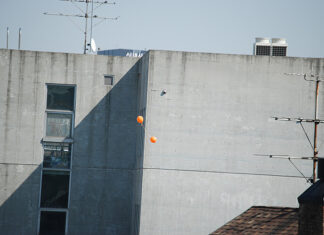 주황색 풍선 두개