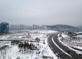 하얀나라를 보았니