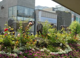 140520, 걷기 @ 삼청동~청계천