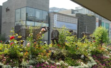 140520, 걷기 @ 삼청동~청계천