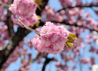 180416 – 동네 한바퀴