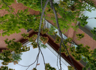 210521 – 피크닉 전시