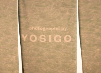 210716 – 요시고 사진전 @그라운드시소 서촌