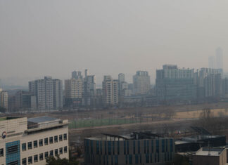 S5M2 첫 출사 : 동네, 안양천