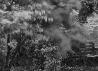 20230429 – 제주 출사 1일차