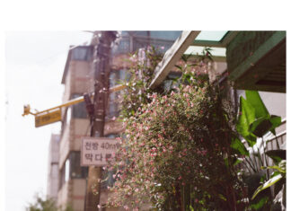 더 이상 앞으로 갈 수 없다고 느낄 때